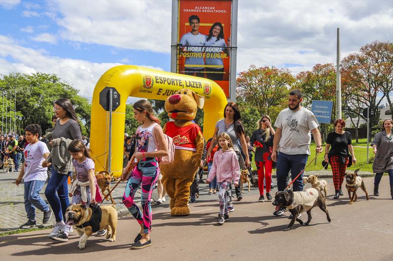Grupo de pessoas caminhando em uma rua com seus cachorros de diferentes raças, incluindo um Golden Retriever e um Corgi, em um evento de passeio de pets.