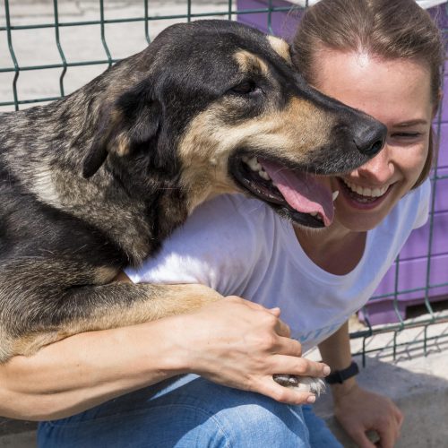 Mulher feliz abraçando um cachorro grande em um círculo, mostrando a forte conexão entre voluntários e animais resgatados.